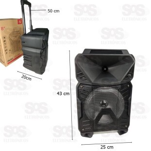 Caixa De Som 40W Karaokê Com Microfone e Controle KTS-1230