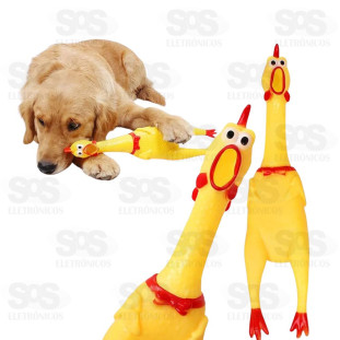 Frango Mordedor 25 cm Para Pets WWJ101M