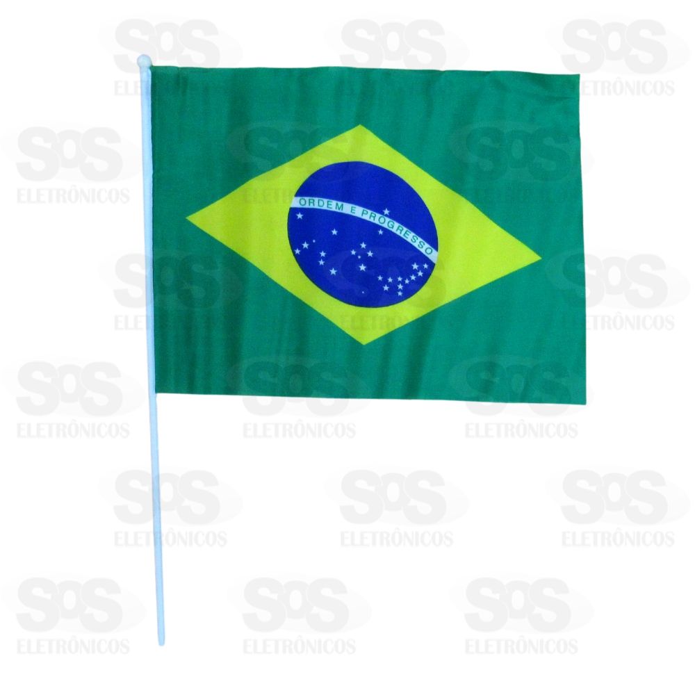 Bandeira Do Brasil Grande 40x33 cm Simples