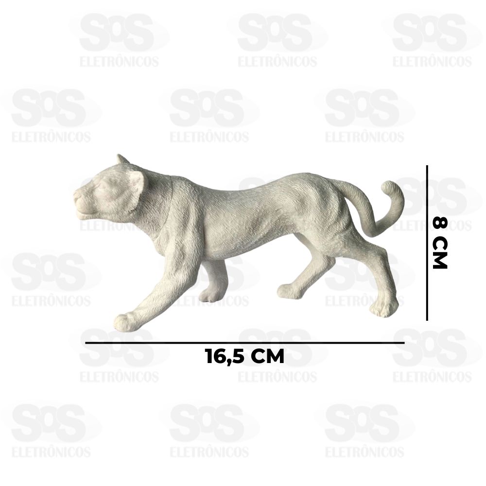 Animal Selvagem Para Colorir 6 Tintas Toy King TK-AB6349