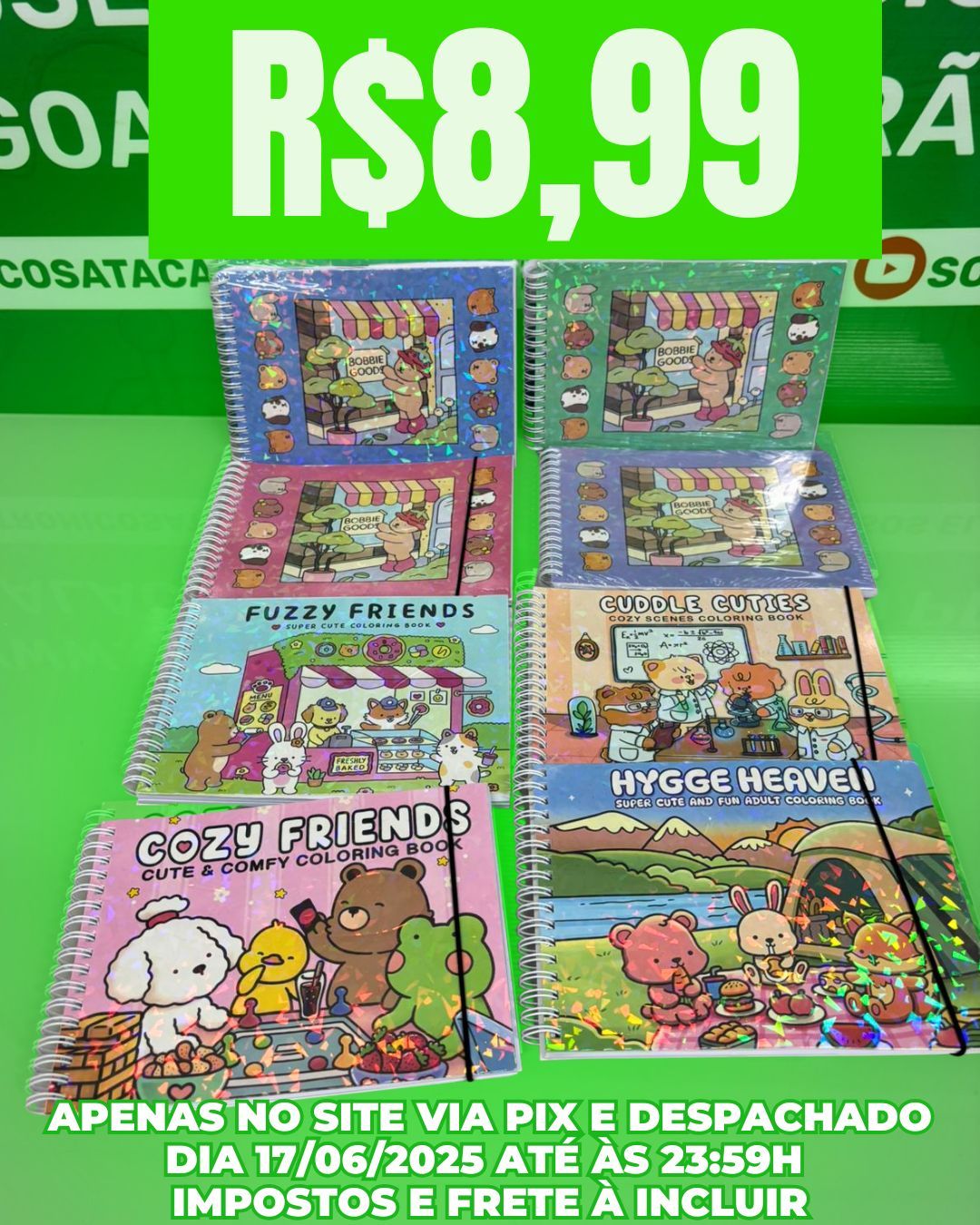 Livro de Colorir Modelos Variados